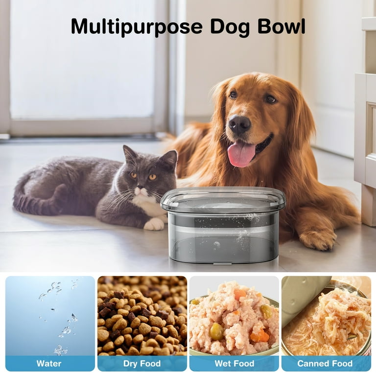 Messy drinker cheap dog bowl