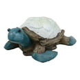 thumbnail image 3 of Nautical Sea Turtle With White Clam Shells In Faux Distressed Wood Finish Statue, 3 of 6