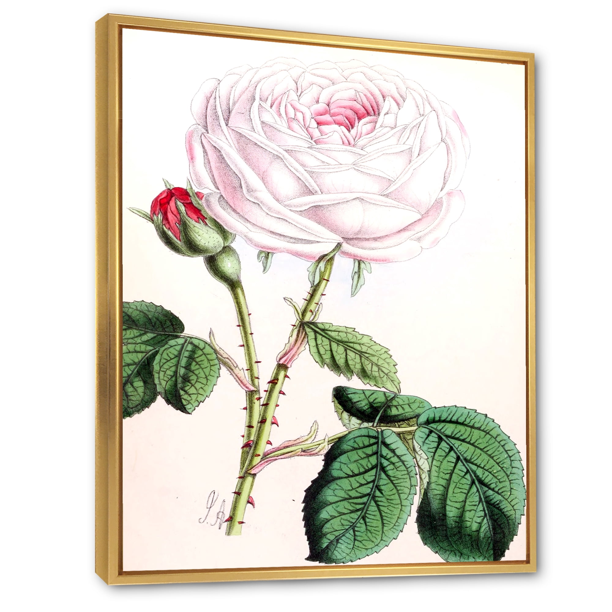 Designart 'Ancient Pink Flower' Traditional Framed Canvas Wall Art Print