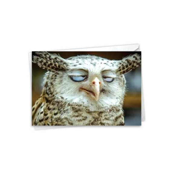 Graduation Greeting Card with 5 x 7 Inch Envelope - What a Hoot - Cross-Eyed Snowy White Owl Head
