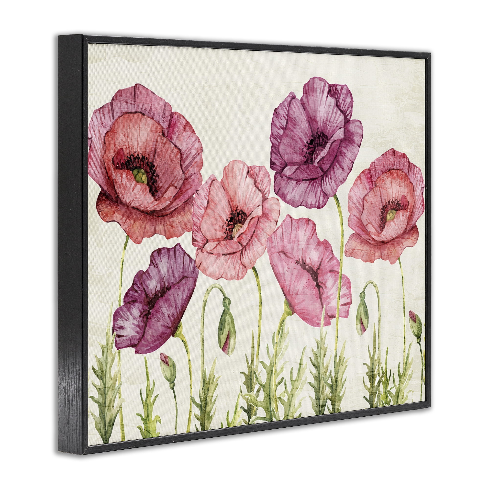 Stupell Industries Poppy Days Vintage Blooms Black Framed Giclee Art, design by Kim Allen