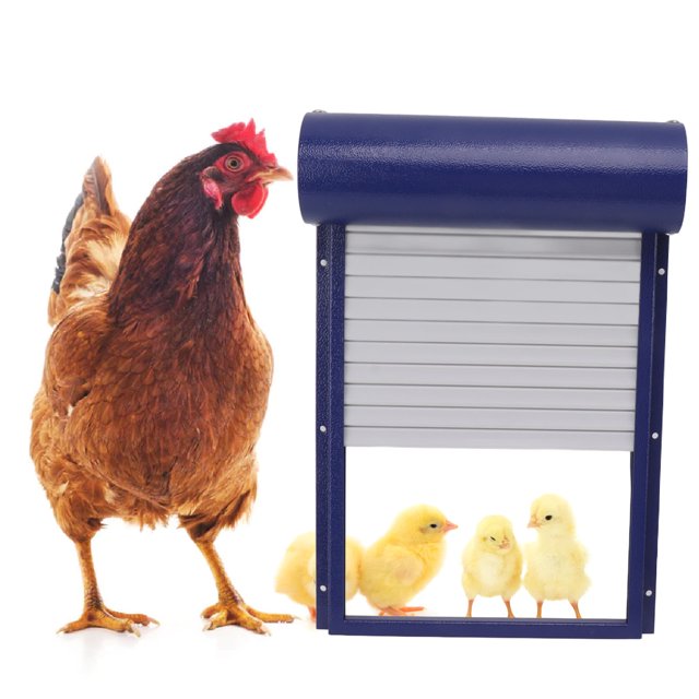 Puerta De Gallinero De Metal, Puerta De Gallinero Cronometrada Con Pantalla LED Para Granja De Cría