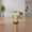 Gold, variant on Zeiwohndc 6pack Modern Aluminum Bed Frame Risers Heavy Duty Adjustable Furniture Leg