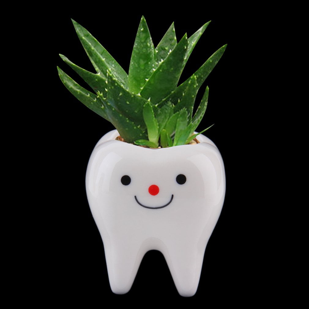 Ceramic Flower Pot DIY Small Planter Succulent Plants Bonsai pot Tooth Design by