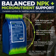 thumbnail image 3 of Supply Solutions 10-10-10 Complete Lawn & Garden Granular Fertilizer with Micronutrients – Balanced NPK Plant Food for Soil Health, Blooms & Roots – Safe for Vegetables, Fruits, Lawns (10lbs), 3 of 7
