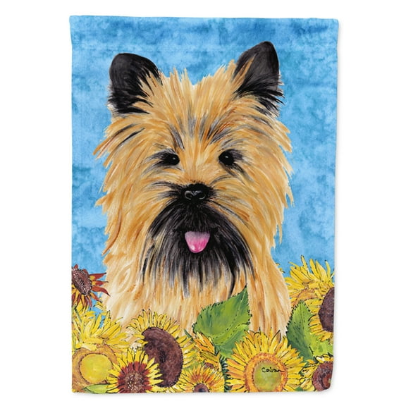 Carolines Treasures SC9057-FLAG-PARENT Cairn Terrier Flag multicolor