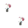 thumbnail image 1 of Yuarrent Flor de orquídea artificial Bonsai Potted Phalaenopsis Home Office Plant Rosa roja 2Conjunto, 1 of 6