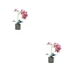 thumbnail image 1 of Yuarrent Flor de orquídea artificial Bonsai Potted Phalaenopsis Home Office Plant Rosa roja 2Conjunto, 1 of 6