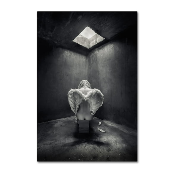 Petar Lupic 'Busted' Canvas Art