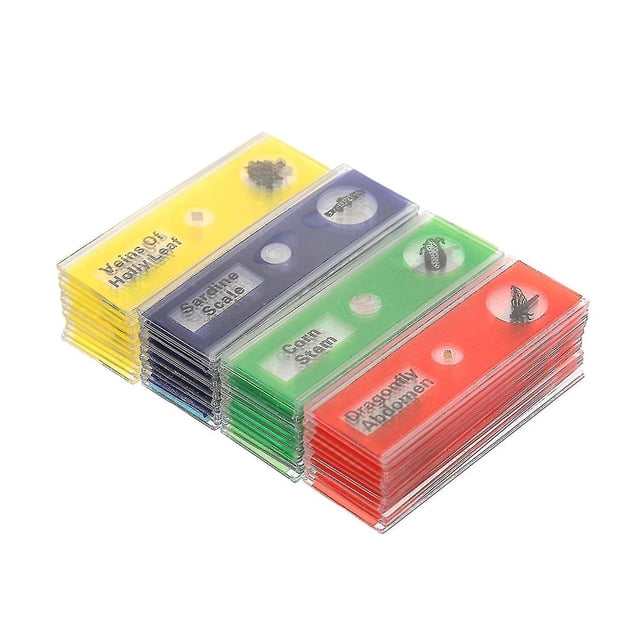 48pcs/set Plastic Prepared Microscope Slides Animals Insects Plants Sample Specimens Slides Set With