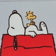 thumbnail image 3 of Lambs & Ivy Snoopy Foldable/Collapsible Storage Bin/Basket Organizer w/ Handles, 3 of 4