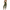 Army Green, variant on Girls Jumpsuit Sleeveless Solid Romper Wide Leg Pants Overalls for Kids Loose Jumpers with Pockets,Army Green,160(13-14 Years)