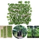 thumbnail image 2 of Enrejado extensible para plantas artificiales, pared verde para jardín, hoja de hiedra, valla de madera, 1 m-2,3 m Hojas de Begonia, 2 of 9