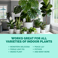 thumbnail image 6 of Indoor Plant Food - Liquid Fertilizer for Indoor Plants & Potted Houseplants, by TPS Plant Foods, 8 oz (250 mL), 6 of 7