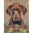 thumbnail image 1 of German Shorthaired Pointer Flag - Garden Size, 1 of 1