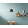 thumbnail image 3 of 52710BK Kichler Lighting Etcher - 1 Light Pendant-17 Inches Tall and 13 Inches Wide-Black Finish, 3 of 8