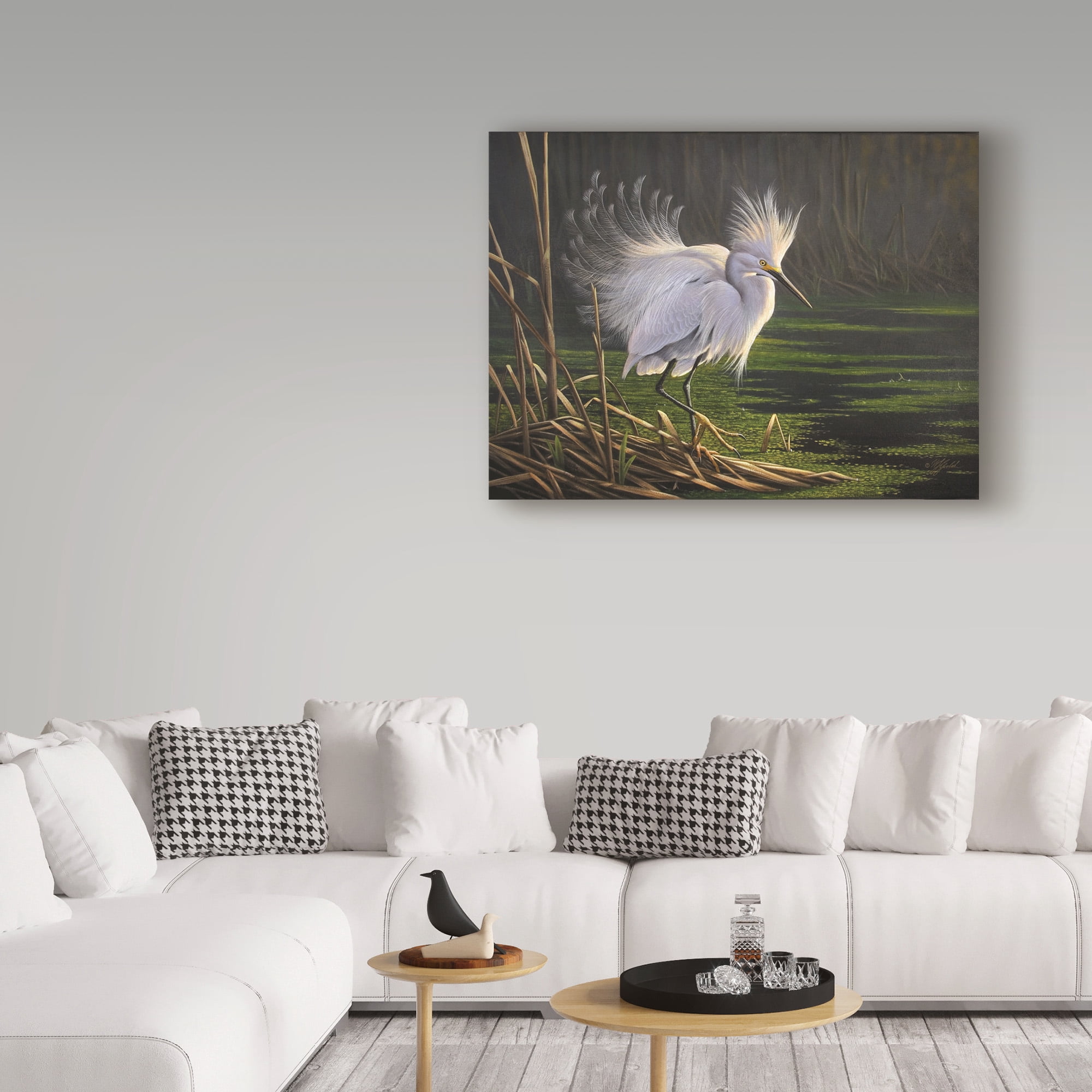 Trademark Fine Art 'White Heron Feathers' Canvas Art by Wilhelm Goebel
