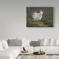 thumbnail image 3 of Trademark Fine Art 'White Heron Feathers' Canvas Art by Wilhelm Goebel, 3 of 3