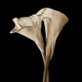 thumbnail image 2 of Rehner, John 26x26 White Modern Wood Framed Museum Art Print Titled - The Embrace, 2 of 4