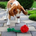 thumbnail image 5 of KOYPTL Valentine Rose Tough Dog Toys,Chewers Toys for Large Medium Small Dogs Teeth-cleaning,Durable Cotton Stuffed Chew Toy Gift for Play & Soothing Birthday Party Holiday Easter Supplies Presents, 5 of 8