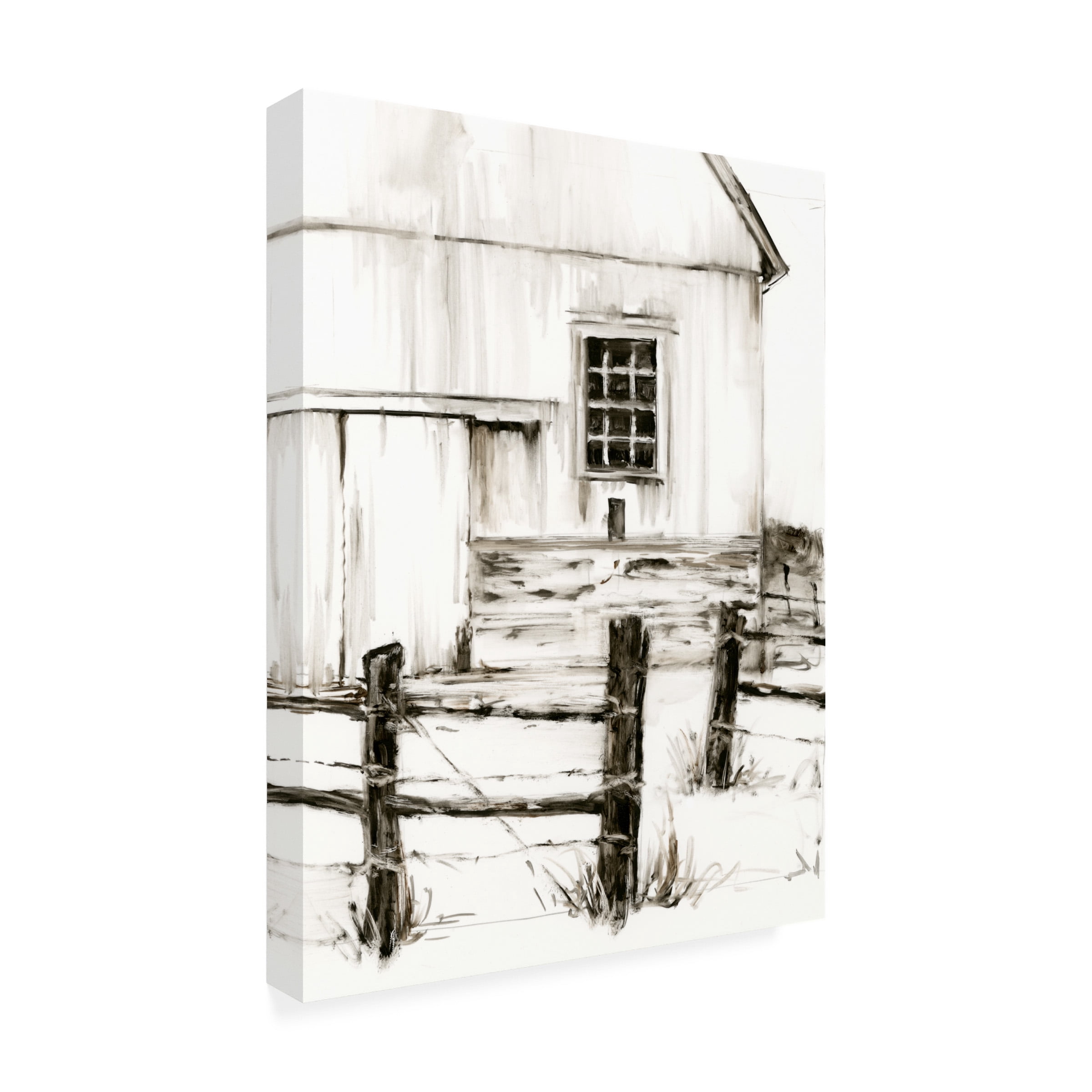 Ethan Harper 'Rustic Barbed Wire II' Canvas Art