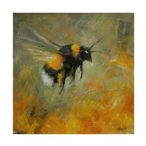 Canvas Wall Art - John Silver 'Bumblebee 1' Wall Art for Living Room, Bedroom, or Office DÃ©cor by Trademark Fine Art - 14 x 14 Inches