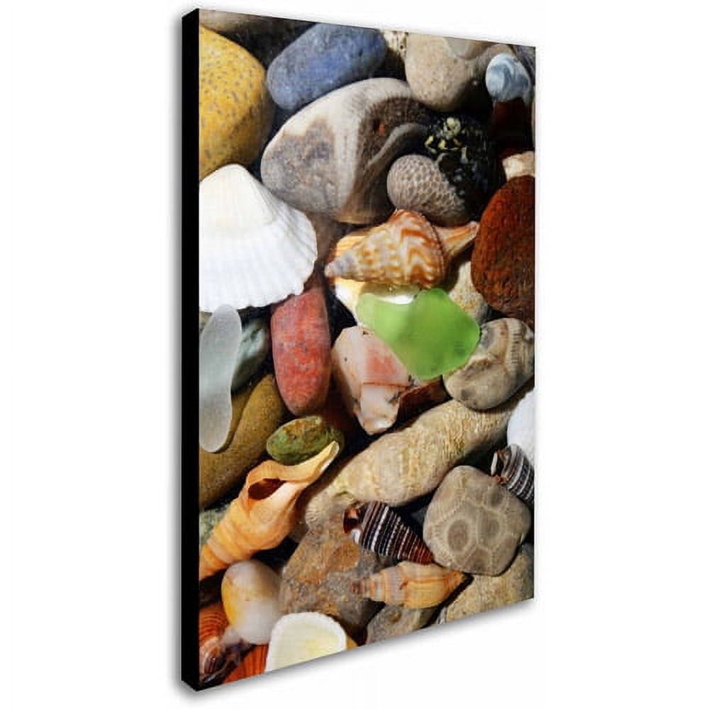 Trademark Fine Art "PetoskeyStones l" Canvas Art by Michelle Calkins