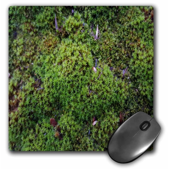 3dRose, Moss Roof Shingle, MousePad
