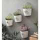 thumbnail image 2 of Metal Hanging Flower Pot for Indoor Wall Decor, 2 of 3