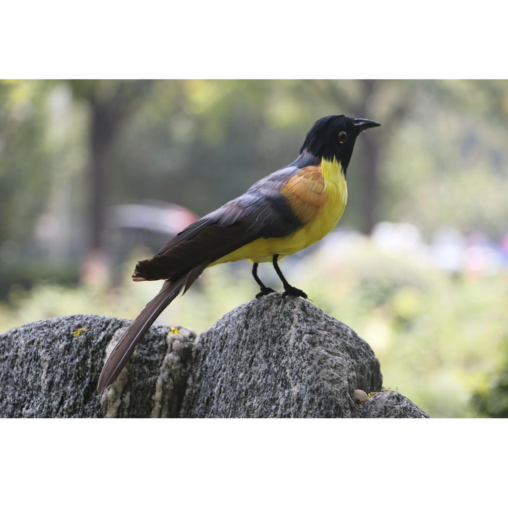 Artificial Black Toucan Bird Realistic Taxidermy Home Garden Decor 35cm #9 