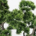 thumbnail image 4 of 62.75'' Artificial Bonsai tree in a White fishbowl planter perfect for indoor and outdoor use, 4 of 7