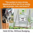 thumbnail image 4 of Cat Window Perch with Industrial-Grade Suction Cups - Solid Pine Wood Hammock Bed Soft Cushion - 42 lb Capacity for Cats Inside, 4 of 9