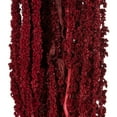 thumbnail image 2 of Vickerman 30" Merlot Amaranthus Bundle, Preserved, 2 of 4