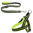 thumbnail image 1 of Stylish and Comfortable Dog Harness and Leash Set - Perfect for Everyday Walks!, 1 of 5