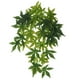 thumbnail image 4 of 2 Uds Reptiles Flexibles Vid Jungla Escalador Vides Decoración Artificial 30cm Y 40cm Sunnimix Reptiles Vine Jungle, 4 of 8