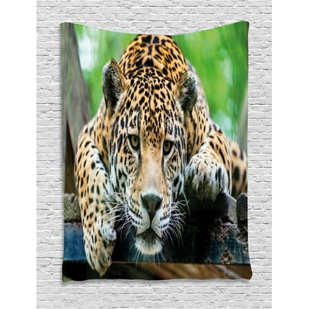 Jungle Basket - Jungle Tapestry, South American Jaguar Wild Animal Carnivore Endangered Feline Safari Image, Wall Hanging for Bedroom Living Room Dorm Decor, 40W X 60L Inches, Orange Black Green, by Ambesonne