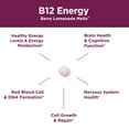 thumbnail image 4 of B-12 Energy Berry Lemonade Melt w/ Super Fruits by Purity Products - Methylcobalamin B12 - Vitamins B6, D3, Folic Acid and Biotin - High Absorption MecobalActive B 12 - 30 Melting Tablets, 4 of 8