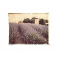 thumbnail image 2 of Amy Melious 43x36 Gallery Wrapped Canvas Wall Art Titled - Lavender, 2 of 4