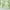 #6, variant on Kumdkd Green Sheer Curtains 39"x106" Long 1 Panel, Light Filtering Window Treatments Drapes for Living Room, Elegant Bedroom Curtains, Each Panel