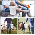thumbnail image 5 of RENACLIPY Set of 6 Small White Plastic Buckets with Handle, Leak-Proof Airtight Lids for Storage and Organization, 5 of 8