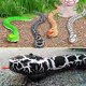 thumbnail image 2 of Serpiente eléctrica con control remoto YONGSHENG regalo para niños, 2 of 5