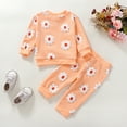 thumbnail image 4 of Bearichfupo Newborn Baby Toddler Girls Long Sleeve Flower Print Tops And Pants 2PCS Outfits Clothes Set For Children Clothes,Girls' Pant Sets Sizes 18-24 Months, 4 of 6