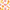Floral Orange, variant on FORMRS 1-Subject Spiral Notebook 8" x 5" College Ruled 60 Refillable Sheet, 2 Pack, White Grapefruit Slices