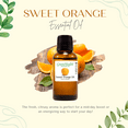 thumbnail image 7 of Sweet Orange Essential Oil - 8 fl oz - 100% Pure Essential Oil by GreenHealth, 7 of 7