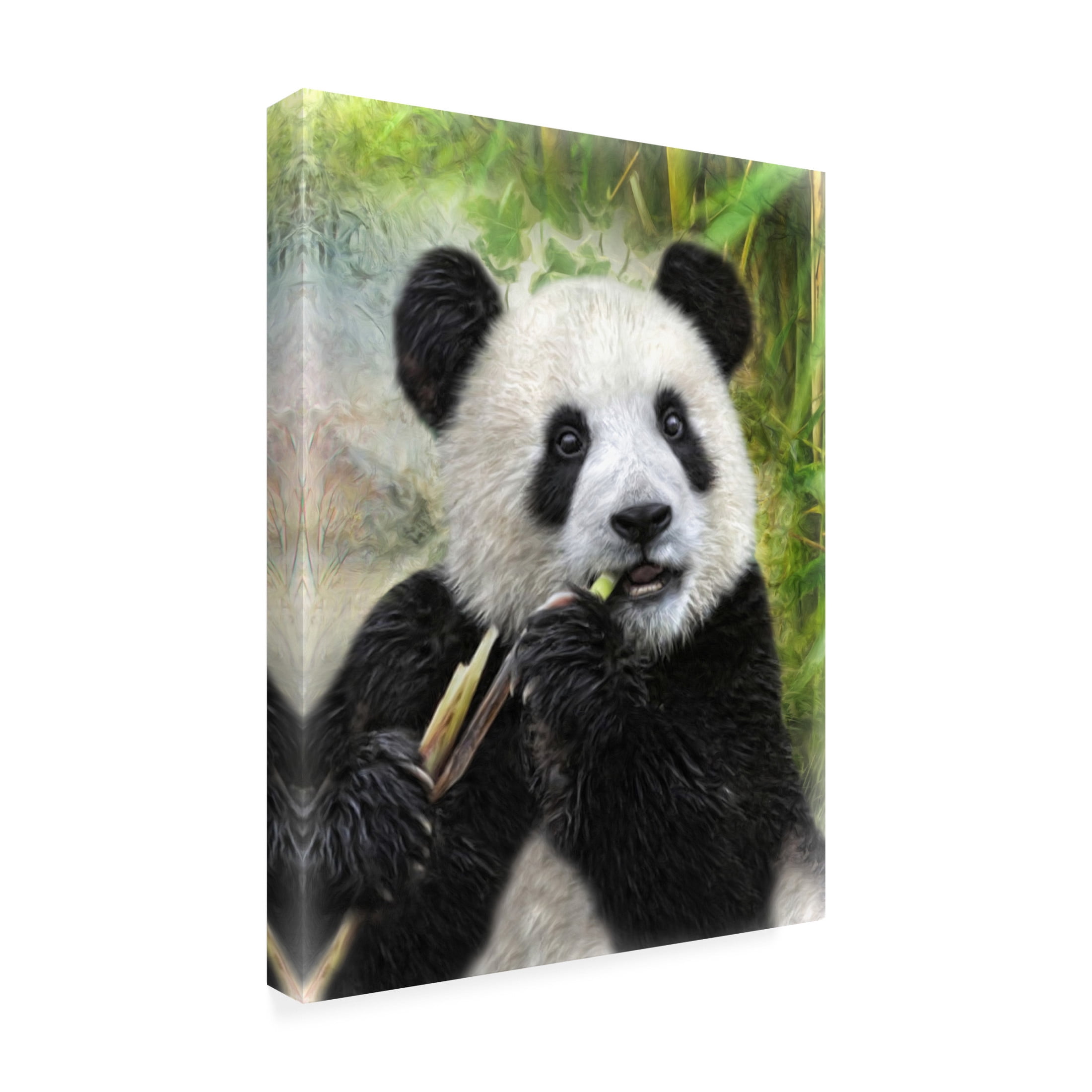 Canvas Wall Art - Trudi Simmonds 'Panda Baby' Wall Art for Living Room, Bedroom, or Office Décor by Trademark Fine Art - 14 x 19 Inches