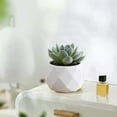thumbnail image 6 of Mini Artificial Plants in Plastic Pots | Fake s for Home Office Desk Decor | Small Faux Plants for Women Gifts | Indoor Decorations, 6 of 6