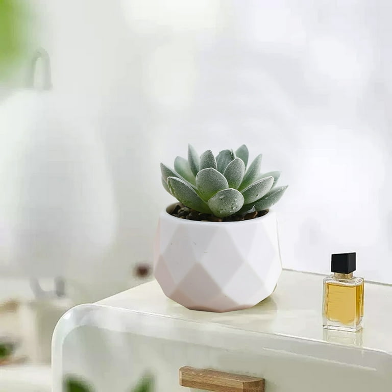 RBCKVXZ Fake Succulents Plant Set - Artificial Plants for Women Desk -  Realistic Faux Succulents in Ceramic Pots - Mini Green Decoration for  Bedroom Bathroom Office Shelf - Walmart.com