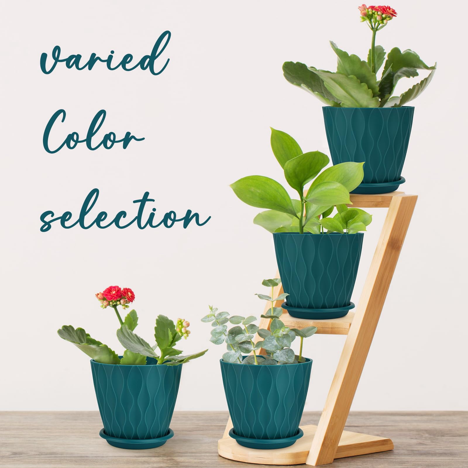 Plant Pots