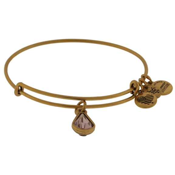 Alex and Ani June Drop Charm Bangle Bracelet - Rafaelian Gold - A17EB45RG