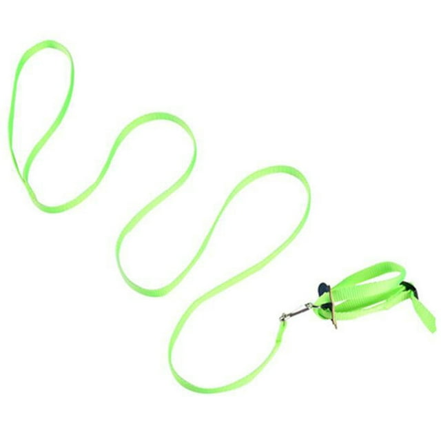 Leash for birds parrots adjustable anti-bite multicolored light soft